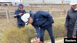 Генеральний директор Міжнародного агентства з атомної енергії (МАГАТЕ) Рафаель Ґроссі відвідує Запорізьку атомну електростанцію поблизу Енергодару в Запорізькій області на українській території, яку контролює Росія, березень 29, 2023. Фредрік Даль/МАГАТЕ/REUTERS