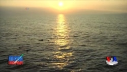 Gavayi: Tinch okeani sohillaridagi ekologik vaziyat