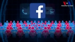 ABD'de Kamuoyu Yoklamaları