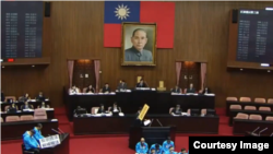 台湾立法院三读通过反渗透法。（2019年12月31日）(台湾立法院网络直播截图)