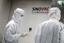 FILE - People work in a laboratory of Chinese vaccine maker Sinovac Biotech, developing an experimental COVID-19 vaccine, during a government-organized media tour in Beijing, China, Sept. 24, 2020.