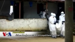 ไทยพร้อมร่วมมือนานาชาติหยุดวิกฤตการณ์ไวรัสอีโบล่า