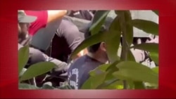 د ډیوه د روانو چارو خپرونه په ټي وي
