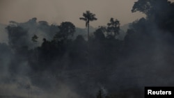 Asap dari kebakaran hutan Amazon mengepul ke udara di hutan hujan Amazon di Apui, negara bagian Amazonas, Brazil, 8 Agustus 2024. (Foto: Adriano Machado/Reuters)