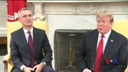 Як пройшла зустріч Трампа і Столтенберґа. Відео