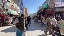 د ژوب ځوانان د برېښنا د پرچاوي او کمزوری انټرنټي خدماتو له امله له بېکارۍ کړېږي
