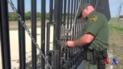 Trampdan immigratsion takliflar