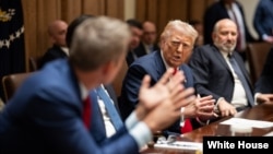 2025년 3월 7일 워싱턴 D.C. 백악관에서 도널드 트럼프 미국 대통령이 내각 회의를 주재하고 있다.